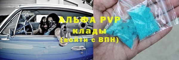 стаф Алзамай