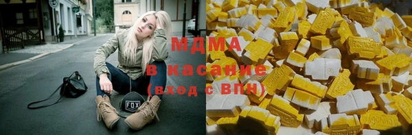 стаф Алзамай