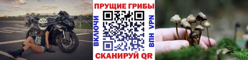 Галлюциногенные грибы мицелий  цены наркотик  MEGA ТОР  Иннополис 